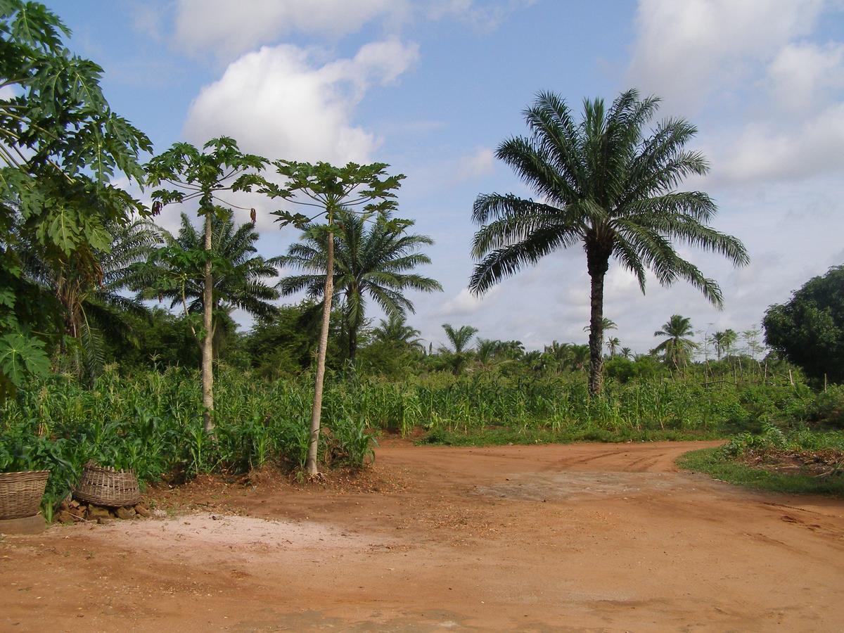 Chez Sabine Bed & Breakfast Abomey Exterior foto